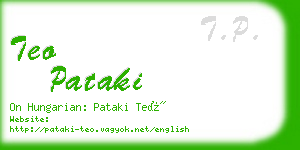 teo pataki business card